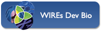 Visit WIREs Dev Bio